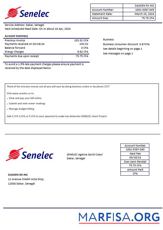 Printable Senegal Senelec Agence Sacré Coeur Company electricity business utility bill template in Word and PDF formats